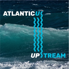 Upstream cover